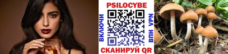 сколько стоит Волжский Галлюциногенные грибы ЛСД